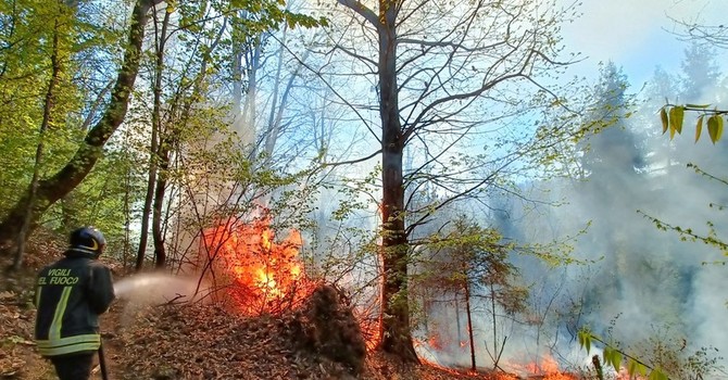 Immagine di repertorio Immagine di repertorio