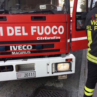 Cane rimane incastrato in una tubazione a Trezzo Tinella: salvato dai Vigili del Fuoco