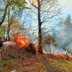 Immagine di repertorio Immagine di repertorio