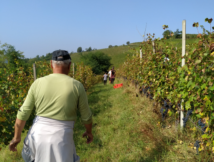 Controlli estivi nel settore agricolo: irregolare il 69% delle 155 aziende ispezionate in provincia Controlli estivi nel settore agricolo: irregolare il 69% delle 155 aziende ispezionate in provincia