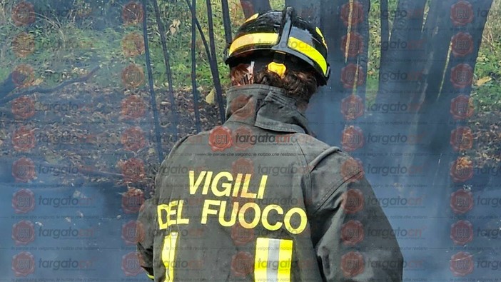 Immagine di repertorio