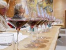 Crisi del vino in Piemonte, l’allarme di Confagricoltura: “Distillazione straordinaria e riforme strutturali per salvare il comparto” Crisi del vino in Piemonte, l’allarme di Confagricoltura: “Distillazione straordinaria e riforme strutturali per salvare il comparto”