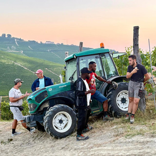 Coldiretti Cuneo: "Il buon vino comincia dal buon lavoro"