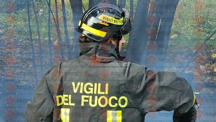 Immagine di repertorio