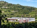 Santo Stefano Belbo: cantina Vallebelbo annuncia "alleanza strategica" con Veraison Group Santo Stefano Belbo: cantina Vallebelbo annuncia "alleanza strategica" con Veraison Group