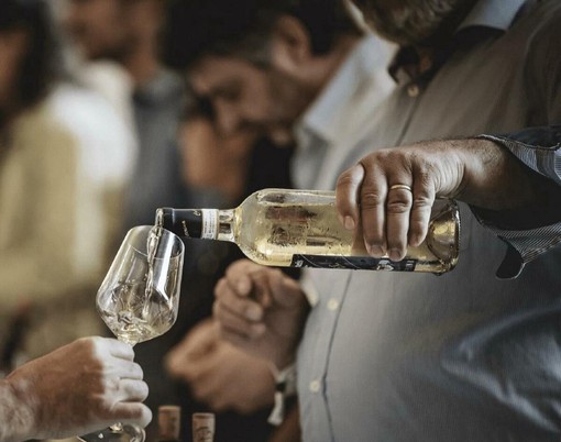 Roero Docg, il punto del Consorzio sul mercato: "Tenuta delle vendite e nuove sfide globali pur nell'incertezza"