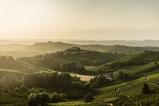 Clima, agricoltura e futuro: a Canale una serata per capire come cambiano vigneti e frutteti