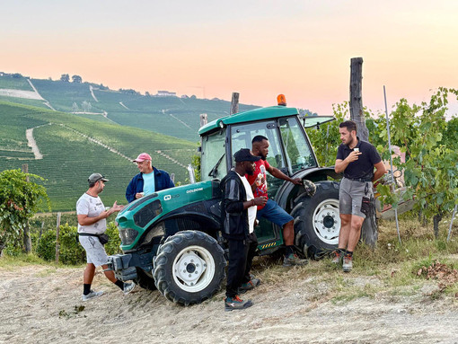 Coldiretti Cuneo: "Il buon vino comincia dal buon lavoro" Coldiretti Cuneo: "Il buon vino comincia dal buon lavoro"