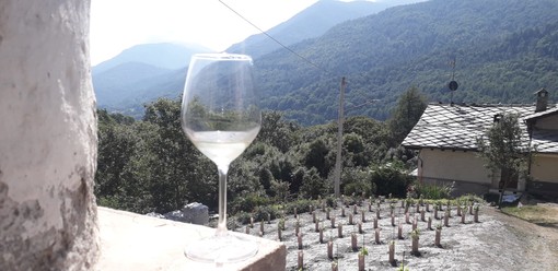 Vino, viti e montagna: questo è Solaris in Val Varaita