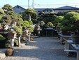 Il giardino del Maestro dove Alessandro ha imparato l'arte del bonsai