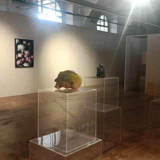 Saluzzo Contemporanea, doppio appuntamento con l’arte del presente