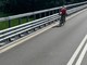 Bici sul raccordo autostradale a Fossano, la segnalazione di un nostro lettore