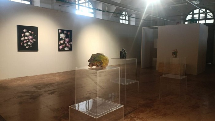 Saluzzo Contemporanea, doppio appuntamento con l’arte del presente