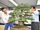 Alessandro Bonardo con il Maestro Masahiko Kimura durante una dimostrazione di bonsai al pubblico