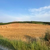 Settimana di tregua dal caldo: minime in calo fino a 10 gradi percepiti