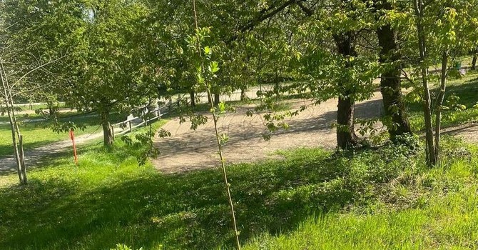 Immagine di repertorio Immagine di repertorio