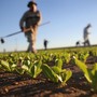 "Gli agricoltori non sono inutili, garantiscono cibo e presidiano il territorio"