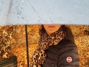 Ciao ciao estate, diamo il benvenuto all’autunno Ciao ciao estate, diamo il benvenuto all’autunno