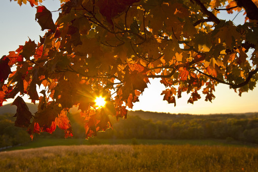 METEO / Meteo nel Cuneese, weekend con sole e clima mite: temperature fino a 27-28 gradi METEO / Meteo nel Cuneese, weekend con sole e clima mite: temperature fino a 27-28 gradi
