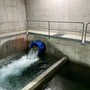 Acqua, Coldiretti Cuneo: basta retorica dell'emergenza Acqua, Coldiretti Cuneo: basta retorica dell'emergenza
