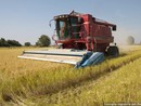Nuovo regolamento per i distretti biologici