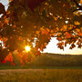 METEO / Meteo nel Cuneese, weekend con sole e clima mite: temperature fino a 27-28 gradi METEO / Meteo nel Cuneese, weekend con sole e clima mite: temperature fino a 27-28 gradi