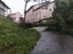 MALTEMPO / Forti raffiche di vento, alberi caduti e grandine dal Saluzzese al Braidese MALTEMPO / Forti raffiche di vento, alberi caduti e grandine dal Saluzzese al Braidese