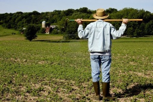 I giovani tornano alla terra: negli ultimi 5 anni più 8%di imprenditori agricoli