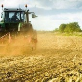 Patto per l'agricoltura del futuro: al via il progetto "Digi Open Lab" Patto per l'agricoltura del futuro: al via il progetto "Digi Open Lab"
