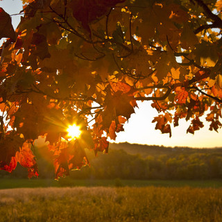 METEO / Meteo nel Cuneese, weekend con sole e clima mite: temperature fino a 27-28 gradi
