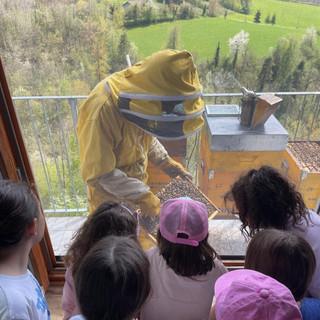 Gli alunni della primaria di Sale delle Langhe alla scoperta del mondo delle api