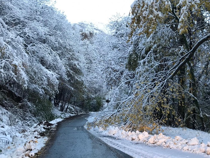 Immagine di repertorio