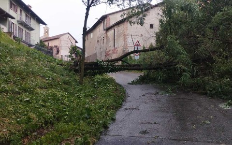 MALTEMPO / Forti raffiche di vento, alberi caduti e grandine dal Saluzzese al Braidese