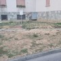 Bra, meno alberi nella via dedicata ad Aldo Moro e l'oasi che non c'è più Bra, meno alberi nella via dedicata ad Aldo Moro e l'oasi che non c'è più