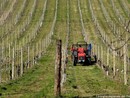 Agricoltura e sfruttamento del lavoro, le problematiche presentate dalle associazioni di categorie Agricoltura e sfruttamento del lavoro, le problematiche presentate dalle associazioni di categorie