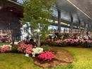 Allestimento Asproflor a Euroflora 2025 Allestimento Asproflor a Euroflora 2025