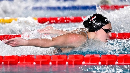 Foto Giorgio Scala / DBM Foto Giorgio Scala / DBM