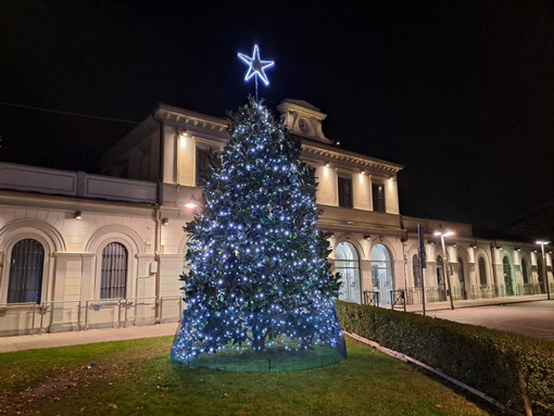 La magnolia della stazione si illumina: il Natale arriva a Bra La magnolia della stazione si illumina: il Natale arriva a Bra
