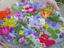 Acqua di san Giovanni preparata con erbe e fiori Acqua di san Giovanni preparata con erbe e fiori