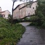 MALTEMPO / Forti raffiche di vento, alberi caduti e grandine dal Saluzzese al Braidese MALTEMPO / Forti raffiche di vento, alberi caduti e grandine dal Saluzzese al Braidese