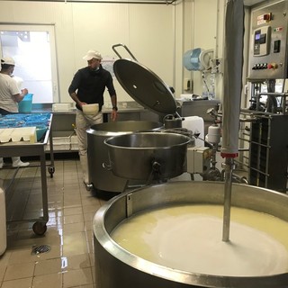 Agricoltura, 25 anni della Legge di orientamento: aziende sempre più multifunzionali