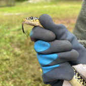 Salvataggio speciale alla scuola dell'infanzia "M. Ventre" di frazione Ronchi a Cuneo Salvataggio speciale alla scuola dell'infanzia "M. Ventre" di frazione Ronchi a Cuneo