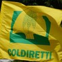 Lavoro, Coldiretti Cuneo: "Bene il protocollo per la filiera vitivinicola" Lavoro, Coldiretti Cuneo: "Bene il protocollo per la filiera vitivinicola"