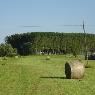 Le balle di fieno: una delle immagini più belle dell'estate