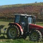 Reti d'impresa e marketing digitale, Cia Cuneo: "Aiuti concreti per le aziende agricole dagli ultimi due bandi della Camera di Commercio"