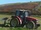 Reti d'impresa e marketing digitale, Cia Cuneo: "Aiuti concreti per le aziende agricole dagli ultimi due bandi della Camera di Commercio" Reti d'impresa e marketing digitale, Cia Cuneo: "Aiuti concreti per le aziende agricole dagli ultimi due bandi della Camera di Commercio"