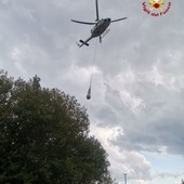 Immagine di repertorio