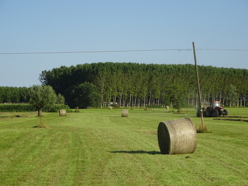 Le balle di fieno: una delle immagini più belle dell'estate