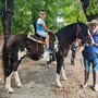 Bra, tanti bambini a cavallo per il battesimo della sella con i Cavalieri del Bandito Bra, tanti bambini a cavallo per il battesimo della sella con i Cavalieri del Bandito