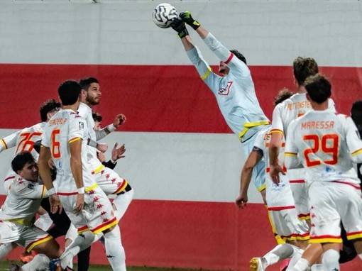 (ph longoni, vis pesaro)